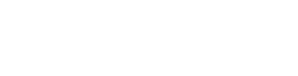 Terms & Conditions – LVMH P&C Staff Shop
